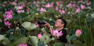 Tailandia explota el turismo mundial (y su ecosistema)