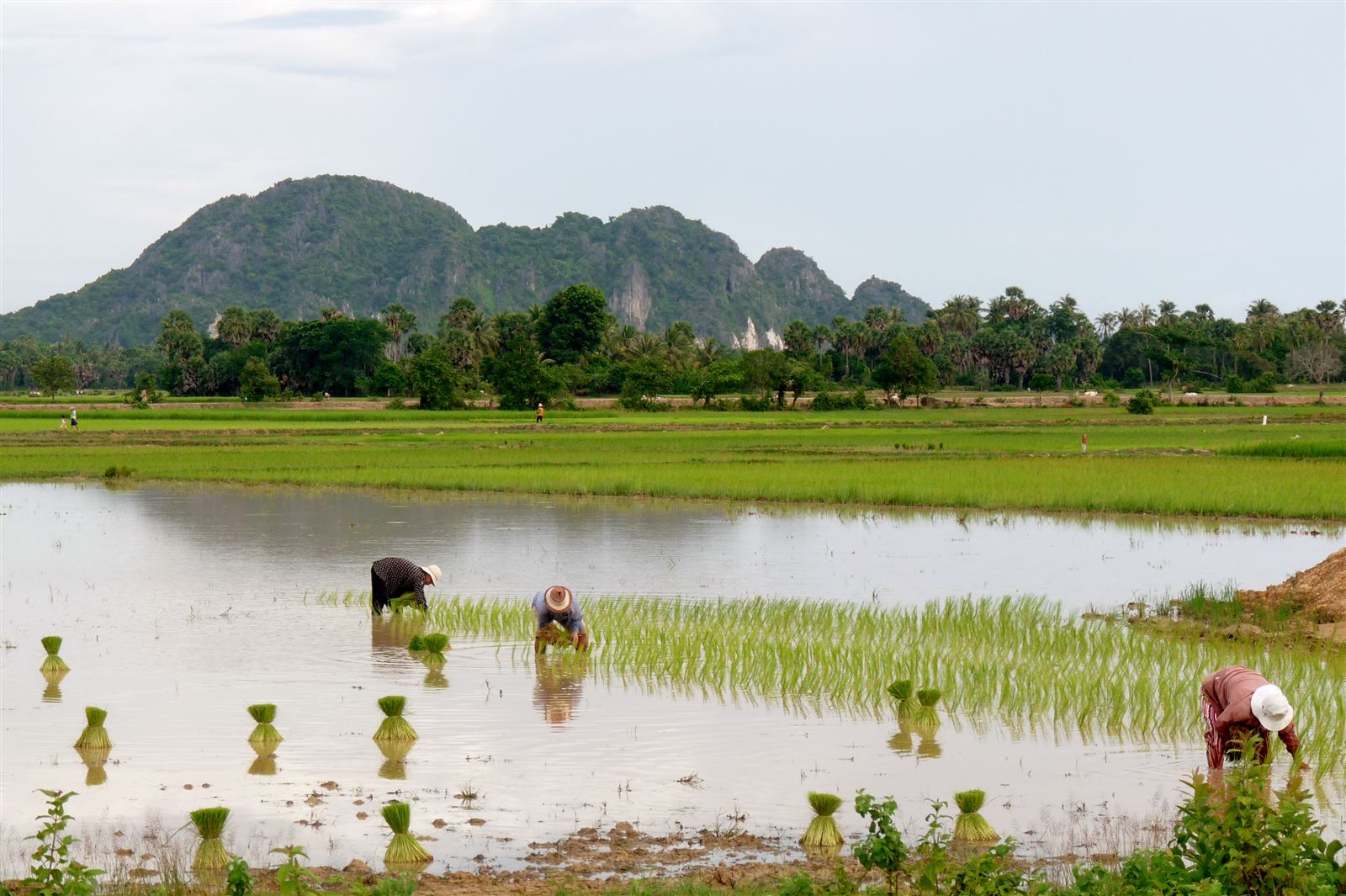 DE KRATIE A SIEM REAP