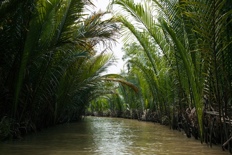 LEYENDAS DEL MEKONG