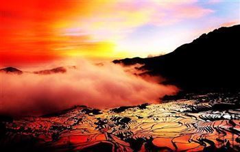 *!<=*ParamsSpilitItems*=>*!Día 4*!<=*ParamsSpilitItems*=>*!YUANYANG*!<=*ParamsSpilitItems*=>*!