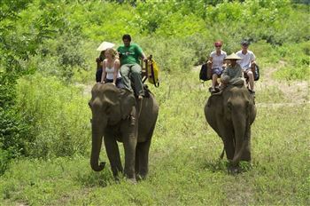 *!<=*ParamsSpilitItems*=>*!DIA 4*!<=*ParamsSpilitItems*=>*!ISLA DE KHONG – KHONG PAPHENG - PAKSE*!<=*ParamsSpilitItems*=>*!