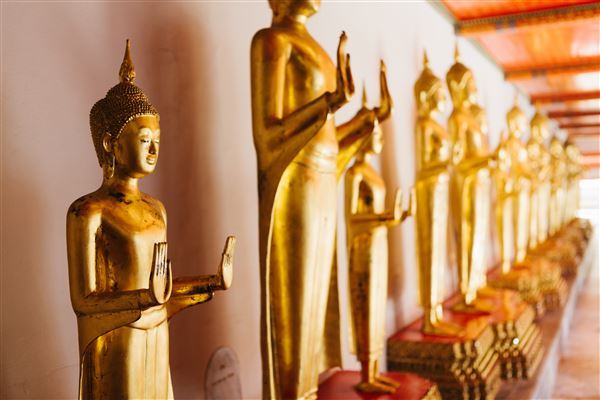 MAGIA DEL SIAM