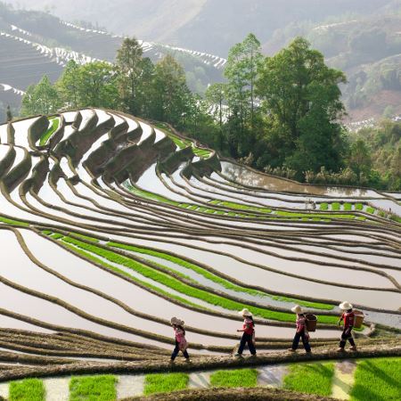 El Yunnan completo - extendido