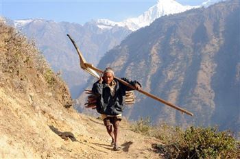 *!<=*ParamsSpilitItems*=>*!Día 4*!<=*ParamsSpilitItems*=>*!POKHARA Y PARAPENTE*!<=*ParamsSpilitItems*=>*!