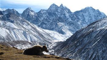 *!<=*ParamsSpilitItems*=>*!Día 8*!<=*ParamsSpilitItems*=>*!DINGBOCHE - LOBUCHE*!<=*ParamsSpilitItems*=>*!
