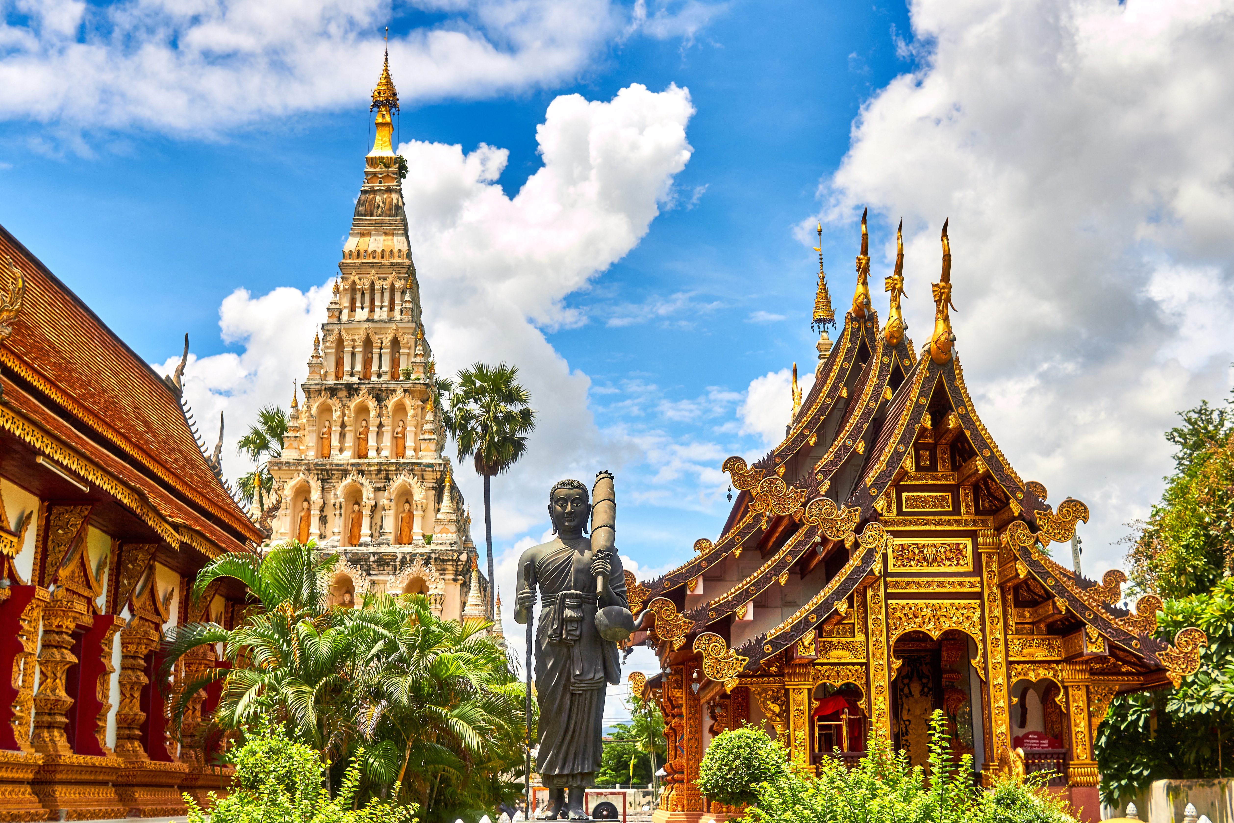 MAGIA DEL SIAM