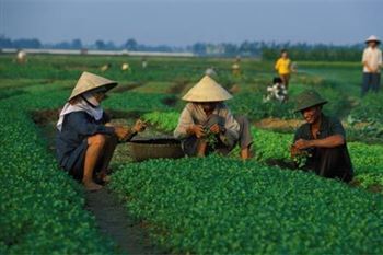 *!<=*ParamsSpilitItems*=>*!DIA 6*!<=*ParamsSpilitItems*=>*!VAN – XAM KHOE – MAI CHAU*!<=*ParamsSpilitItems*=>*!