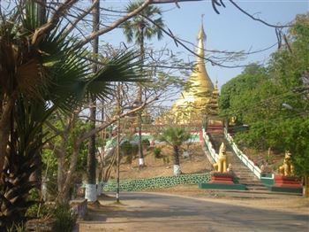 *!<=*ParamsSpilitItems*=>*!DIA 11*!<=*ParamsSpilitItems*=>*!MONYWA – PAKOKKU - BAGAN*!<=*ParamsSpilitItems*=>*!