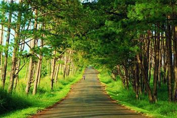 *!<=*ParamsSpilitItems*=>*!DIA 4*!<=*ParamsSpilitItems*=>*!BUON ME THUOT - PLEIKU*!<=*ParamsSpilitItems*=>*!