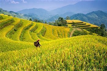 *!<=*ParamsSpilitItems*=>*!DIA 3*!<=*ParamsSpilitItems*=>*!NGHIA LO – TU LE – MU CANG CHAI – THAN UYEN – BINH LU – TAM DUONG*!<=*ParamsSpilitItems*=>*!