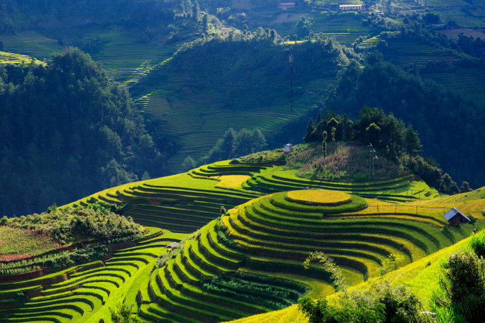 LOS PUEBLOS DEL NORTE Y LOS ARROZALES