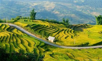 *!<=*ParamsSpilitItems*=>*!DIA 5*!<=*ParamsSpilitItems*=>*!DIEN BIEN – PHONG THO – TAM DUONG*!<=*ParamsSpilitItems*=>*!
