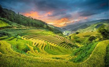 *!<=*ParamsSpilitItems*=>*!DIA 2*!<=*ParamsSpilitItems*=>*!NGHIA LO – MU CANG CHAI*!<=*ParamsSpilitItems*=>*!