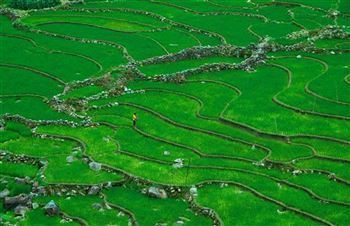 *!<=*ParamsSpilitItems*=>*!DIA 2*!<=*ParamsSpilitItems*=>*!NGHIA LO – MU CANG CHAI*!<=*ParamsSpilitItems*=>*!