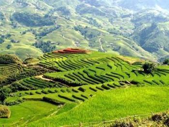 *!<=*ParamsSpilitItems*=>*!DIA 4*!<=*ParamsSpilitItems*=>*!SAPA – BAC HA – LAO CAI – TREN DE NOCHE A HANOI*!<=*ParamsSpilitItems*=>*!