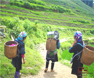 *!<=*ParamsSpilitItems*=>*!DIA 3*!<=*ParamsSpilitItems*=>*!MU CANG CHAI - SAPA*!<=*ParamsSpilitItems*=>*!