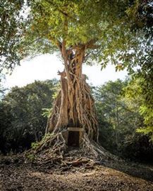 *!<=*ParamsSpilitItems*=>*!DIA 3*!<=*ParamsSpilitItems*=>*!KOMPONG THOM – SIEM REAP*!<=*ParamsSpilitItems*=>*!