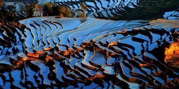 *!<=*ParamsSpilitItems*=>*!Día 10*!<=*ParamsSpilitItems*=>*!YUANYANG*!<=*ParamsSpilitItems*=>*!