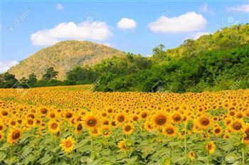 *!<=*ParamsSpilitItems*=>*!DIA 2*!<=*ParamsSpilitItems*=>*!BANGKOK – AYUTTHAYA – SARABURI – KHAO YAI*!<=*ParamsSpilitItems*=>*!