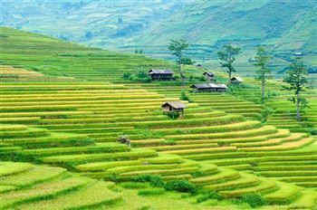 *!<=*ParamsSpilitItems*=>*!DIA 3*!<=*ParamsSpilitItems*=>*!HOA BINH – MAI CHAU*!<=*ParamsSpilitItems*=>*!