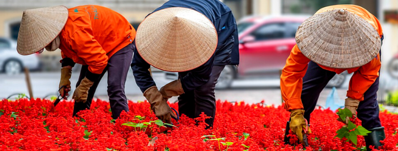 GRAN TRAVESÍA DE VIETNAM