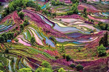 *!<=*ParamsSpilitItems*=>*!Día 10*!<=*ParamsSpilitItems*=>*!YUANYANG*!<=*ParamsSpilitItems*=>*!