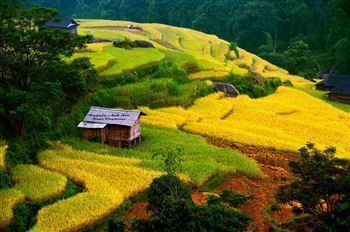 *!<=*ParamsSpilitItems*=>*!DIA 7*!<=*ParamsSpilitItems*=>*!BAC HA – XIN MAN – HOANG SU PHI – HA GIANG*!<=*ParamsSpilitItems*=>*!
